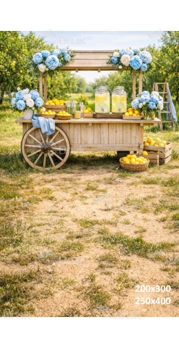 Tło fotograficzne „Letni stragan z lemoniadą i niebieskimi kwiatami” | 4031